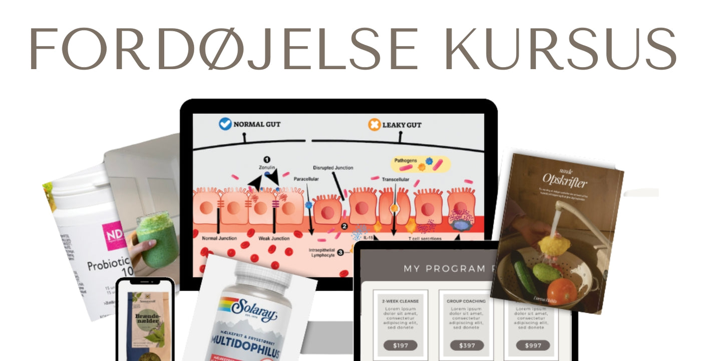 Helbred din fordøjelse kursus