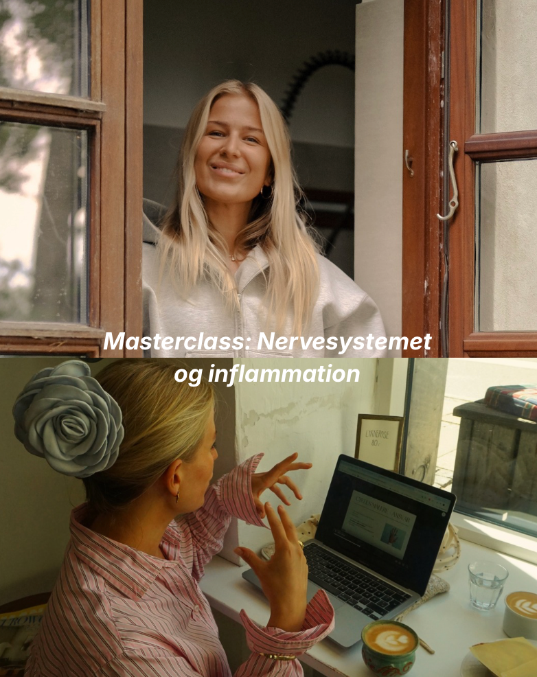 Masterclass: Nervesystemet og inflammation
