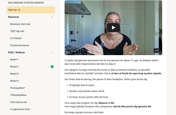 Skærmbillede fra protokollen